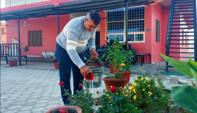 वडाध्यक्षको पहलमा कार्यालय परिसरमा फूलबारी Image