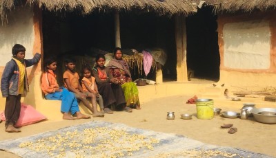 मुसहर र बाँतर समुदायको शीतलहरसँग संघर्ष, राहतको अभाव Image