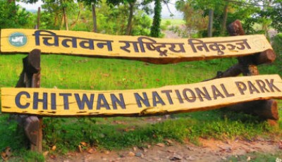 Controlled Forest Fire Conducted in Chitwan National Park Image