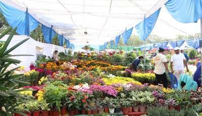 फ्लोरा एक्स्पोमा ७२ लाखको कारोबार Image