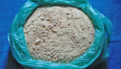 धनगढीमा लागु औषध खैरो हेरोइन सहित ६ जना पक्राउ Image