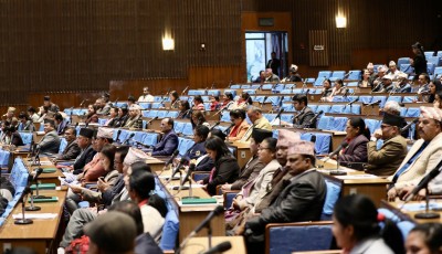 अध्यादेशप्रति सत्तारूढ कांग्रेस सांसद नै असन्तुष्ट, रविको निलम्बित सांसद पद फुकुवा गर्न रास्वपाको माग Image