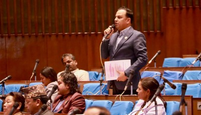 पुराना दलले संसदीय अभ्यास बिर्सिए : रास्वपा सांसद झा Image