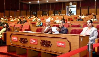 राष्ट्रिय सभाबाट पाँचवटै प्रतिस्थापन विधेयक बहुमतले पारित Image