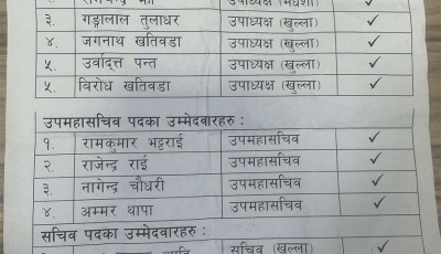 यी उम्मेदवार लाई भोट हाल्न माधव नेपालले चिट बाँडे Image