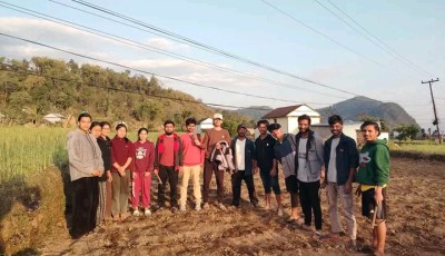 पोखरामा मकैका ३६ जातमा अनुसन्धान गरिँदै Image