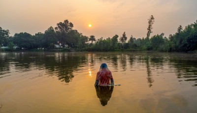 Devotees worshipping Image