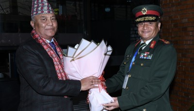 प्रधानसेनापति सिग्देल स्वदेश फिर्ता Image