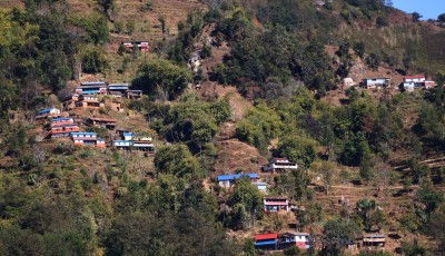 बागलुङका गाउँमा वन्यजन्तुको आतंक: सहरमा बसाइँ सर्दा ग्रामीण जीवनमा बढ्दो संकट Image