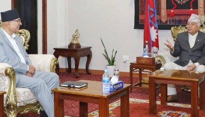 राष्ट्रपतिलाई अर्थमन्त्रीले गरे बजेट ब्रिफिङ Image