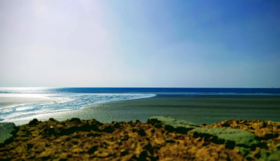 Pakistan Promotes Blue Carbon Ecosystems to Boost Maritime Sector and Climate Resilience Image