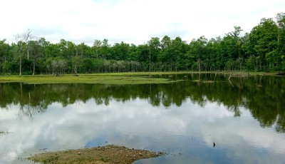 च्यामाताल Image