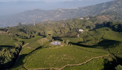 चियाबारी Image