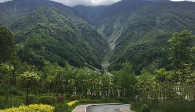 चीनले हरित विस्तारमा  रच्यो नयाँ इतिहास: १० हजार हेक्टर क्षेत्रभित्र वृक्षारोपण सम्पन्न Image