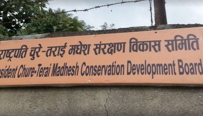 चुरे संरक्षण समितिको खारेजी: चुरे क्षेत्र संरक्षणमा देखिएको गम्भीर बेवास्ता Image