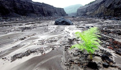 Colombia Dam Burst: 12 Injured, Several Children Missing Image