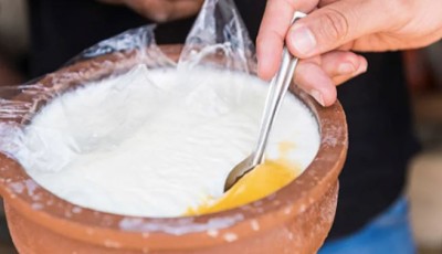 कपाल झर्न थाल्यो ? दही र फ्ल्याक्स सिडले दिन सक्छ चमत्कारी फाइदा Image