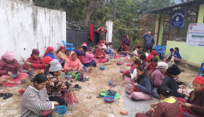 तनहुँका ५० जना महिलालाई ढकिया बुन्ने तालिम Image