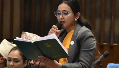 सांसद डा. तोसिमा कार्कीको आकस्मिक मन्तव्य प्रतिनिधि सभा बैठकमा Image