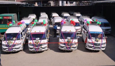 ईभी आयातमा ब्रेक, पेट्रोल गाडीमा बूम, नेपालको ऊर्जा नीति उल्टो दिशामा