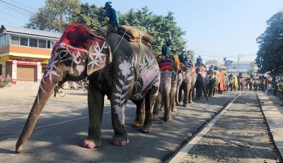 Elephant Parade Marks Start of Tourism Festival Image