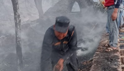 डढेलोले दुर्छिम गाउँमा मच्चायो कहर, खाद्यान्नसहित सम्पत्ति नष्ट Image