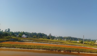 व्यवसायिक माछापालनबाट वार्षिक ११ लाख आम्दानी Image