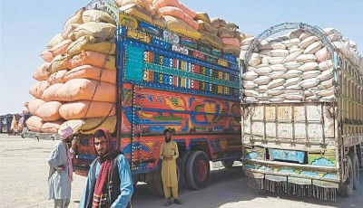 Pakistan’s Raw Food Exports Rise by 13.83% Image