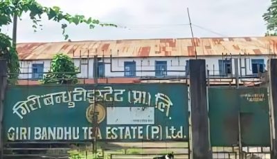 प्रचण्डद्वारा झापाको विवादास्पद गिरिबन्धु टी-स्टेटमा मार्चपास, सर्वसाधारणको न्यायका लागि संघर्षको घोषणा Image