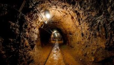 Gold Mine Collapse in Mali Kills 48, Rescue Efforts Underway Image