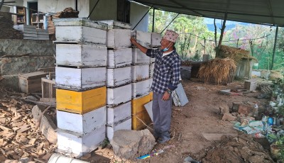 Rukum Paschim Farmers Sell 4 Metric Tons of Honey in Six Months Image