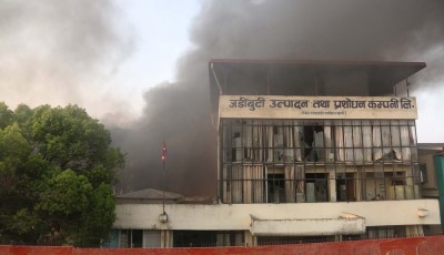 ‘जडीबुटी कम्पनी चाँडै बौरिने छ’ Image