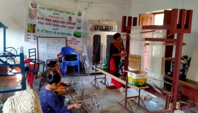 कालीगण्डकीमा केराको ‘फाइबर’बाट हस्तकलाका सामग्री Image