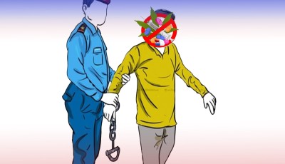 अवैध गाँजासहित दुई जना पक्राउ Image