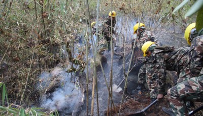 मनाङको डढेलो नियन्त्रण बाहिर, १० दिनसम्म आगोको दनदनी Image