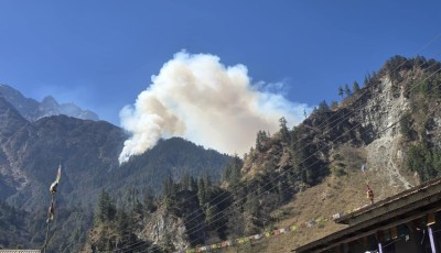 पाल्पा डढेलोः चार सामुदायिक वनमा क्षति Image
