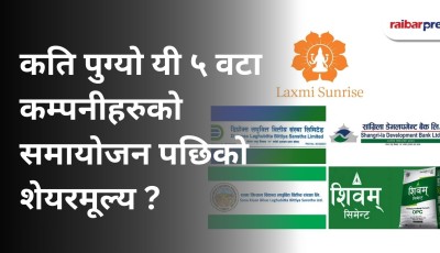 नेपाल स्टक एक्सचेञ्जमा यी ५ कम्पनीको शेयरमूल्य समायोजन Image