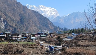 ढिलो गरी परेको हिमपातले मनाङका किसानमा खुसी Image