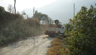 सडक सुधार नहुँदा म्याग्दीका किसानलाई सुन्तला ढुवानीमा कठिनाइ Image