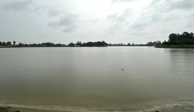 नाढीमन ताल Image