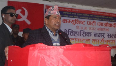 पार्टीभित्रको गुट उपगुटलाई रुपान्तरण अभियानले हटाउँछ : उपाध्यक्ष श्रेष्ठ Image