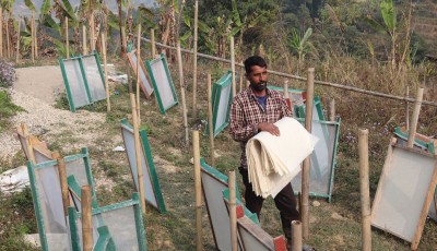 इन्टरनेटको सहारामा मकवानपुरमा केराको खम्बाबाट कागज उत्पादन, मासिक लाखौं आम्दानी Image