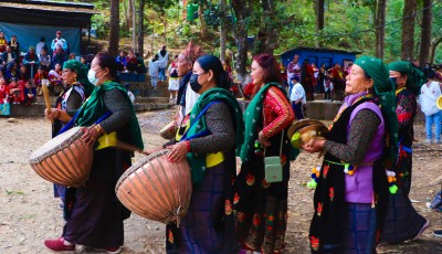 पन्चैबाजा संरक्षणमा आमा समूह Image