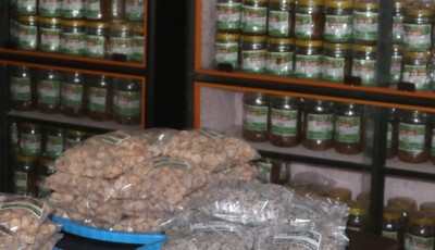 आम्दानीको स्रोत बन्दै लप्सी Image
