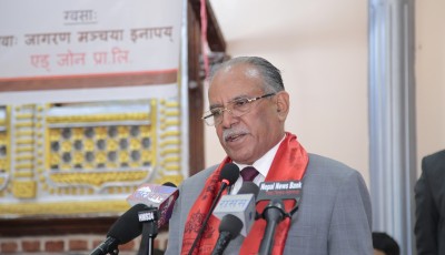राष्ट्रिय सरकार बन्ने हल्ला हो : प्रचण्ड Image
