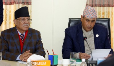 शेरा दरबारको जग्गा फिर्ता ल्याउन अध्यक्ष प्रचण्डको आग्रह Image