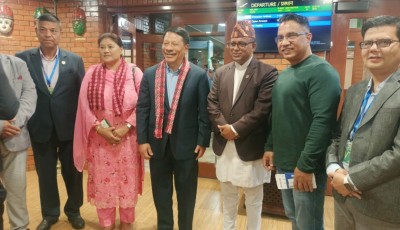 उपप्रधानमन्त्री सिंह इजिप्ट प्रस्थान Image