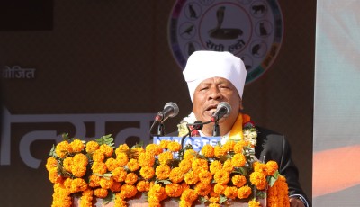 संस्कृतिको संरक्षण र हस्तान्तरण आवश्यक: उपप्रधानमन्त्री सिंह Image