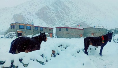 Snowfall in Limi Image