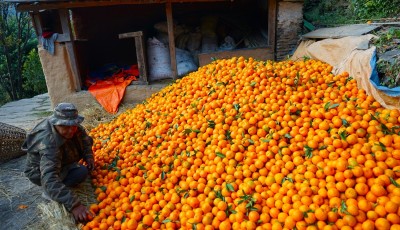 सुन्तलाले फेरिएको बाँसखर्कको पहिचान Image